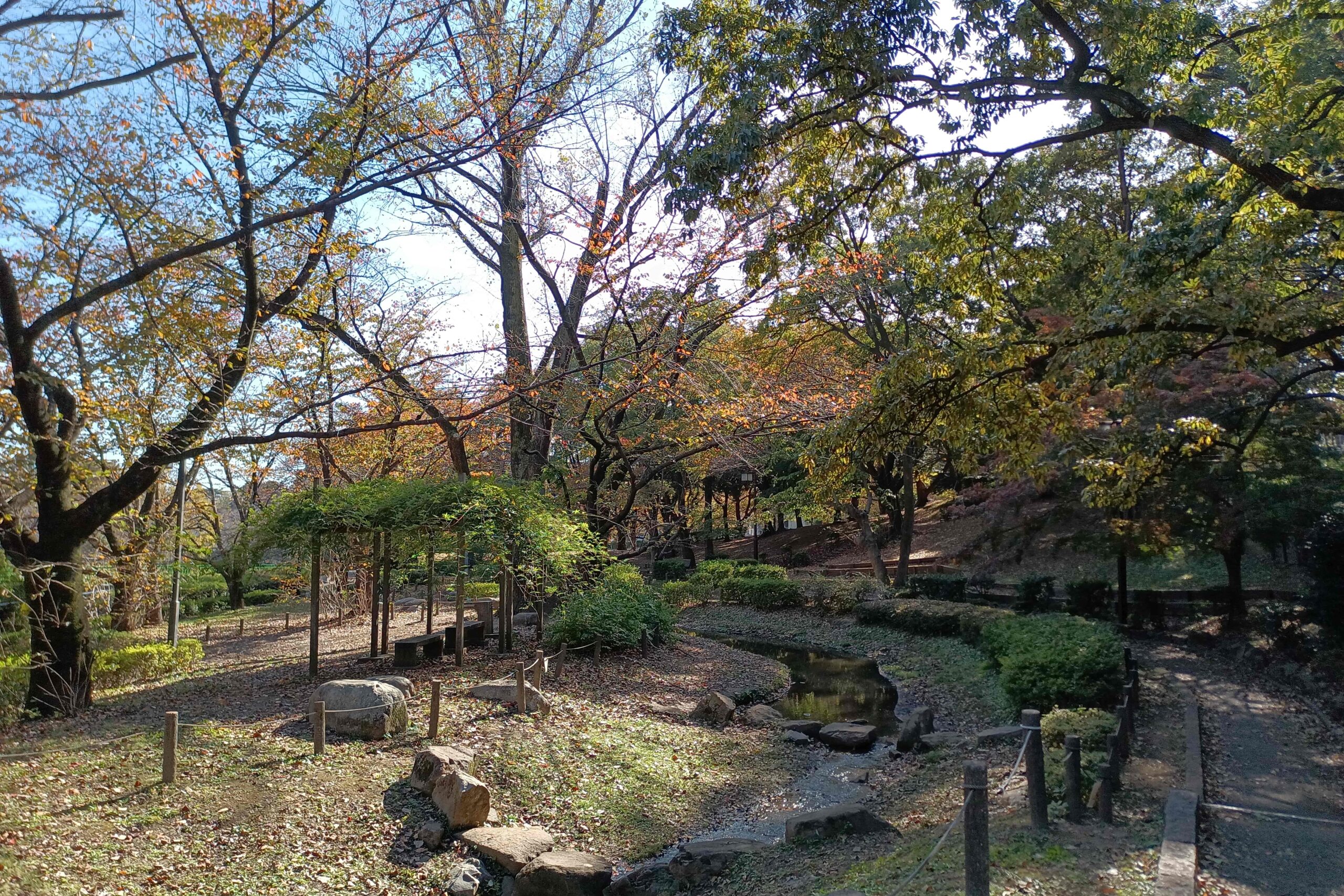 【写真付き】紅葉が美しい！秋の祖師谷公園を歩いた記録を紹介！