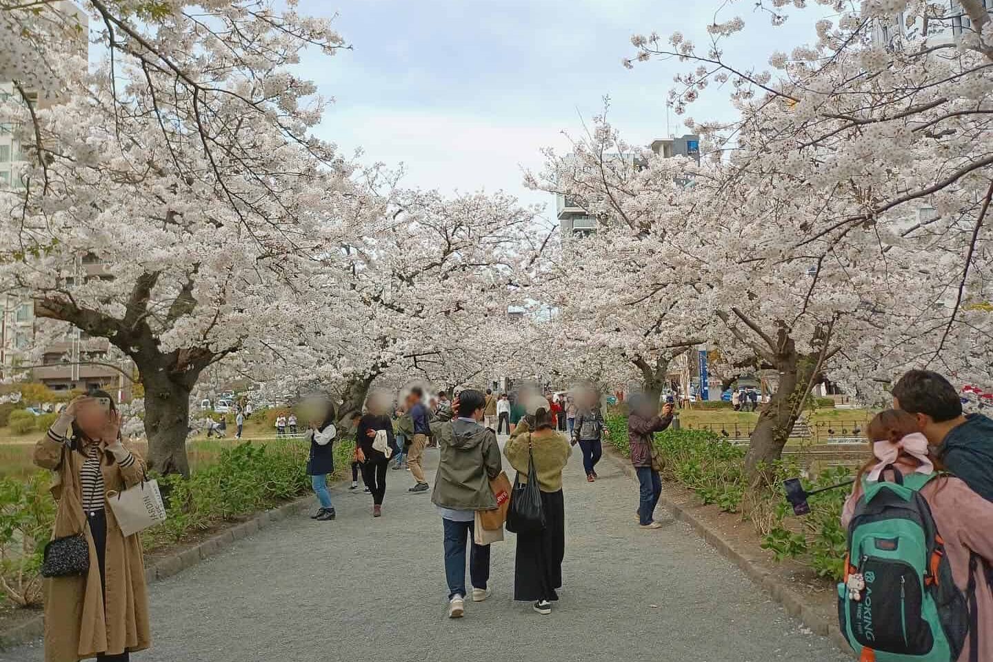 【旅行記】春の福岡で男のひとり旅！一人旅の記録や費用を紹介！